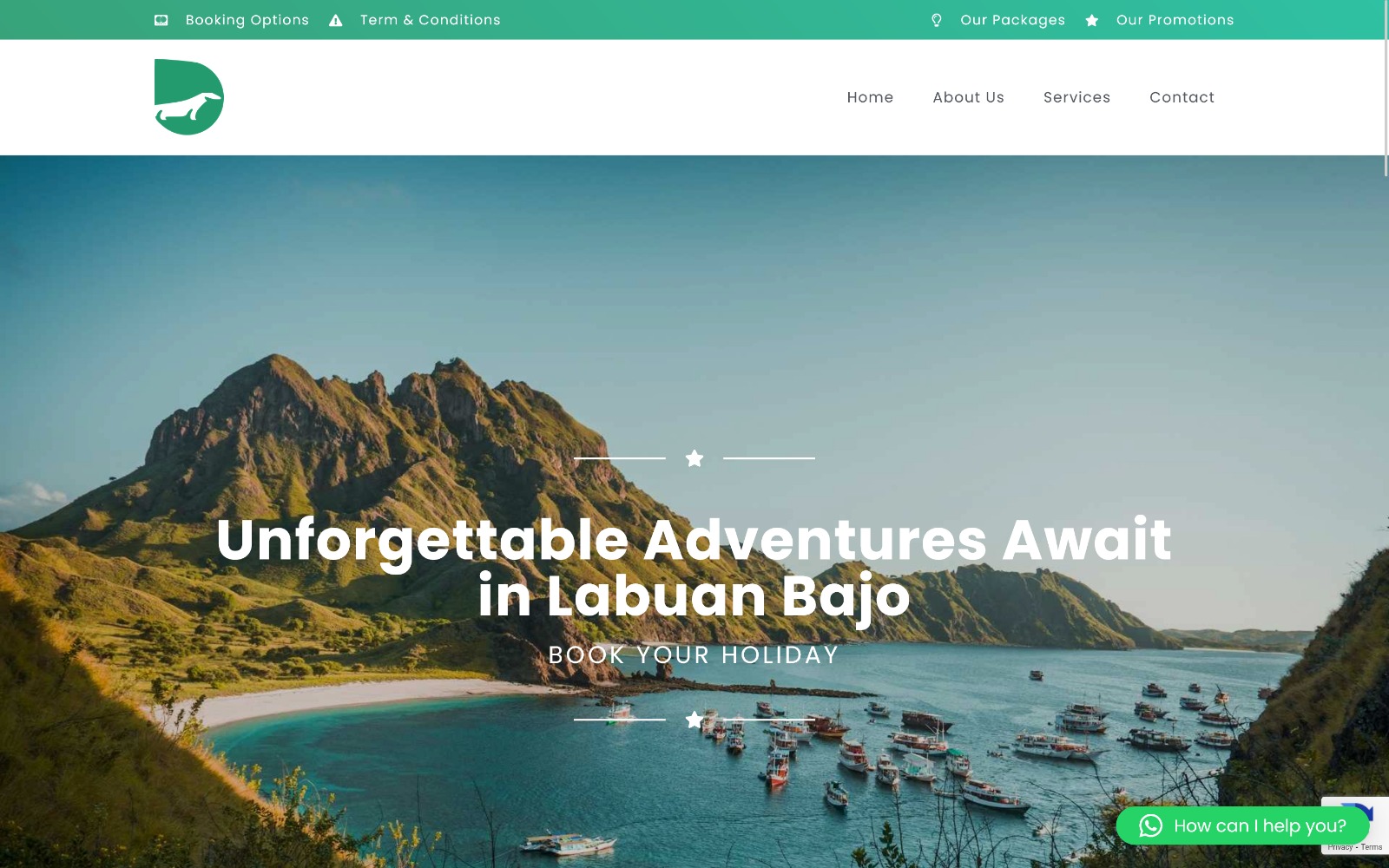 Lingkotech portofolio bajoodyssey.com desktop view