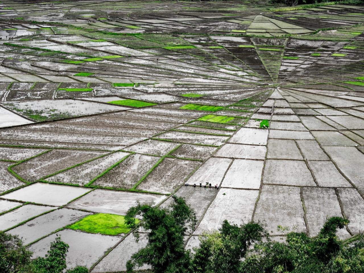 lingko kabupaten manggarai lingkotech.com